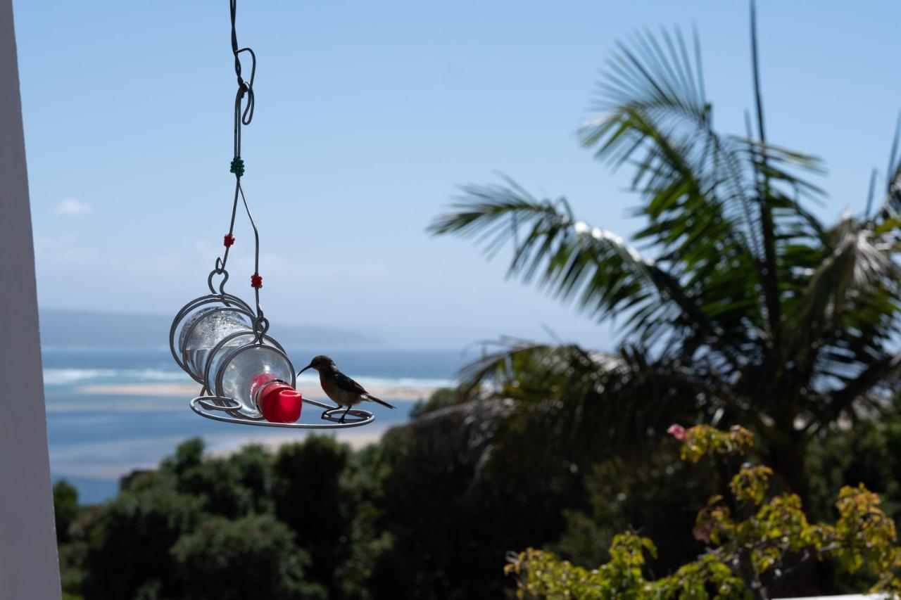 Room With A View Plettenberg Bay Εξωτερικό φωτογραφία